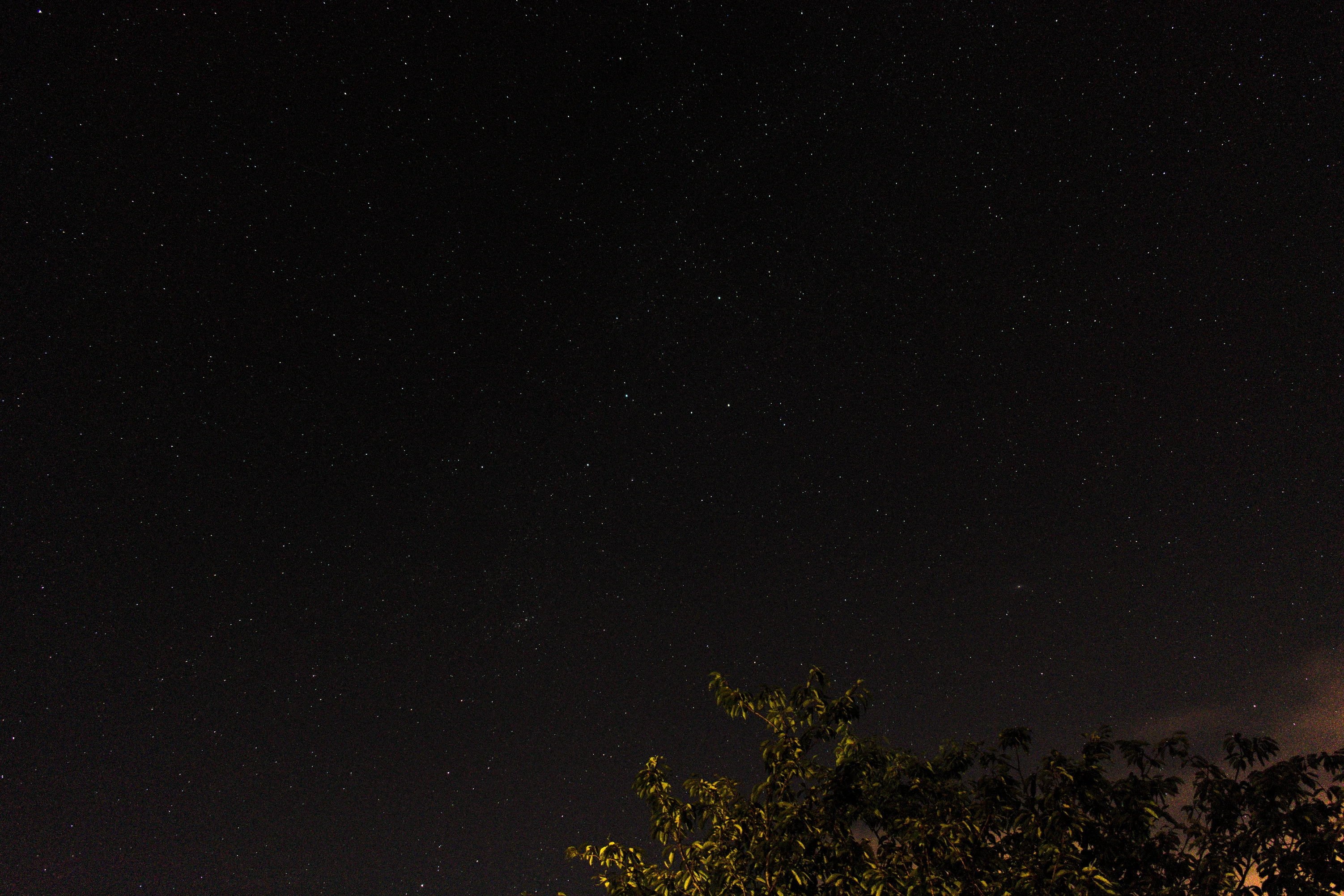 The constellation Cassiopeia. Appears as five stars that look like the letter 'W'